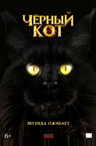 Черный кот (2025)
